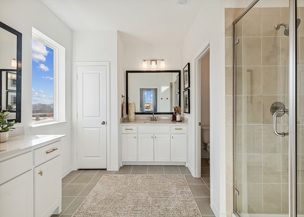 Owner's Bath