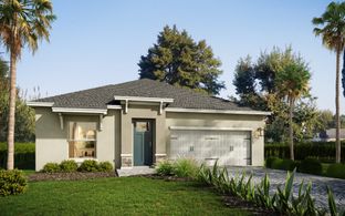 Juli - Palms Village: Orlando, Florida - CFB Homes