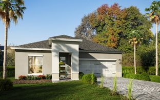 Annika - Palms Village: Orlando, Florida - CFB Homes