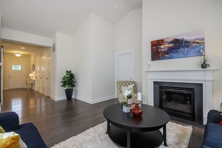 Living room and fireplace