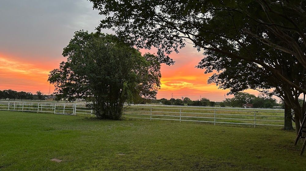 Ribbonwood por Cambridge Homes en Dallas Texas
