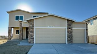 Summit - Meridian Ranch: Falcon, Colorado - Campbell Homes
