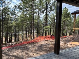 Plan 2354 - Canyon del Rio - The Point: Flagstaff, Arizona - Capstone Homes