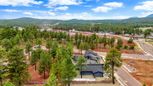 Timber Sky - Corvus - Flagstaff, AZ