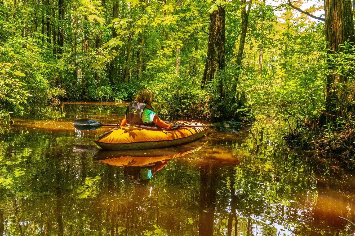 Kayaking at Robertson Millpond Preserve