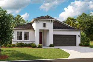 Mariposa - Hawkstone: Riverview, Florida - Casa Fresca Homes