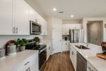 Grove at Crosswinds - Haines City, FL