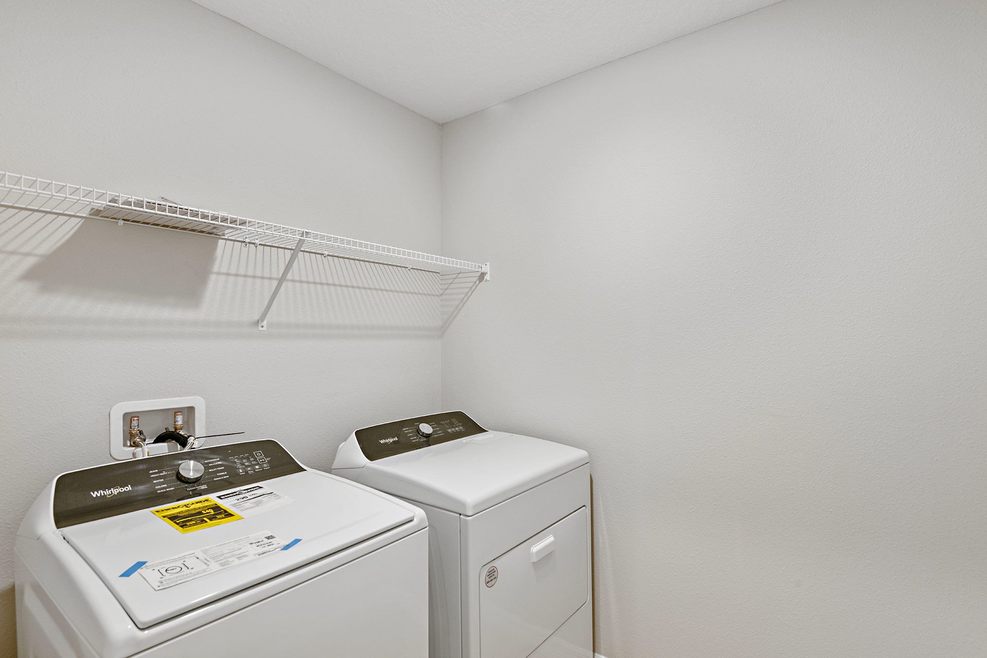 Lot-33-23-Gabriela-C-12730-Halter-Steer-Road-5829-web