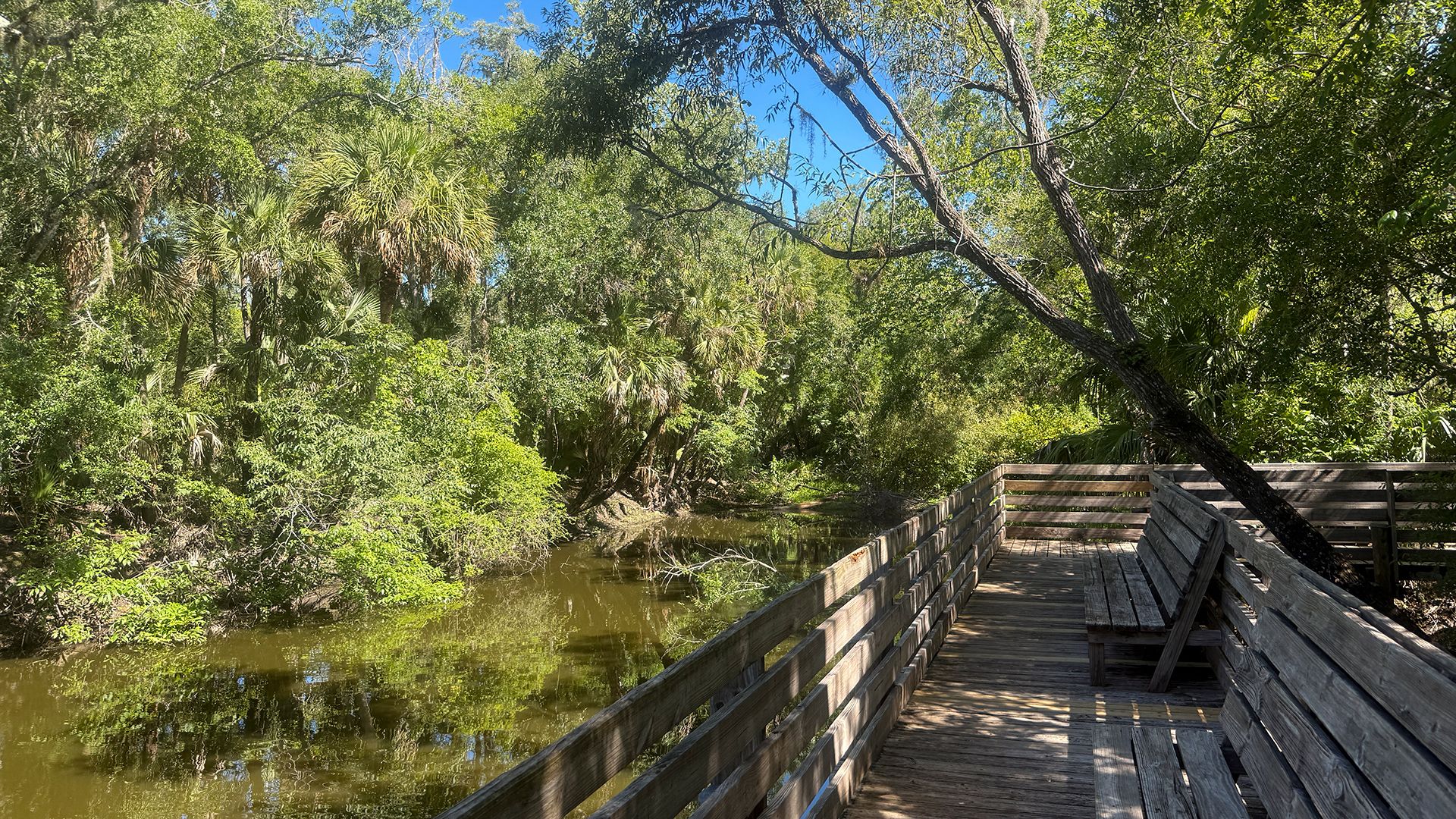 Morris Bridge Site Conservation Park
