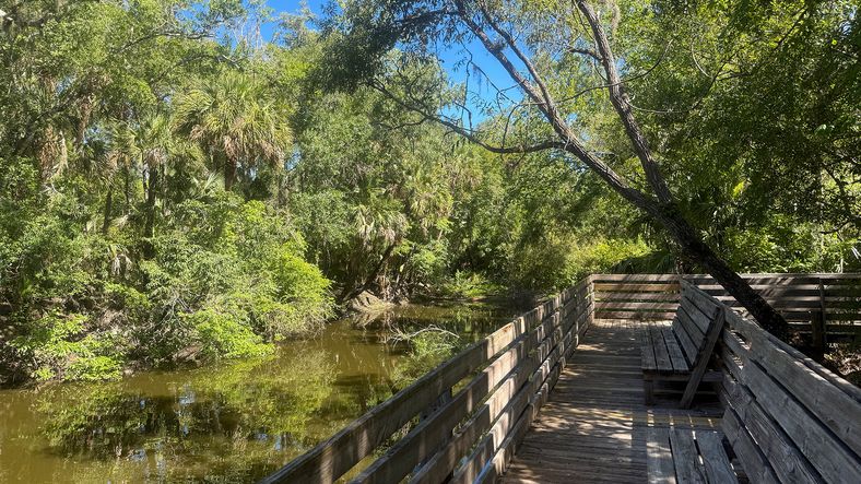 Morris Bridge Site Conservation Park