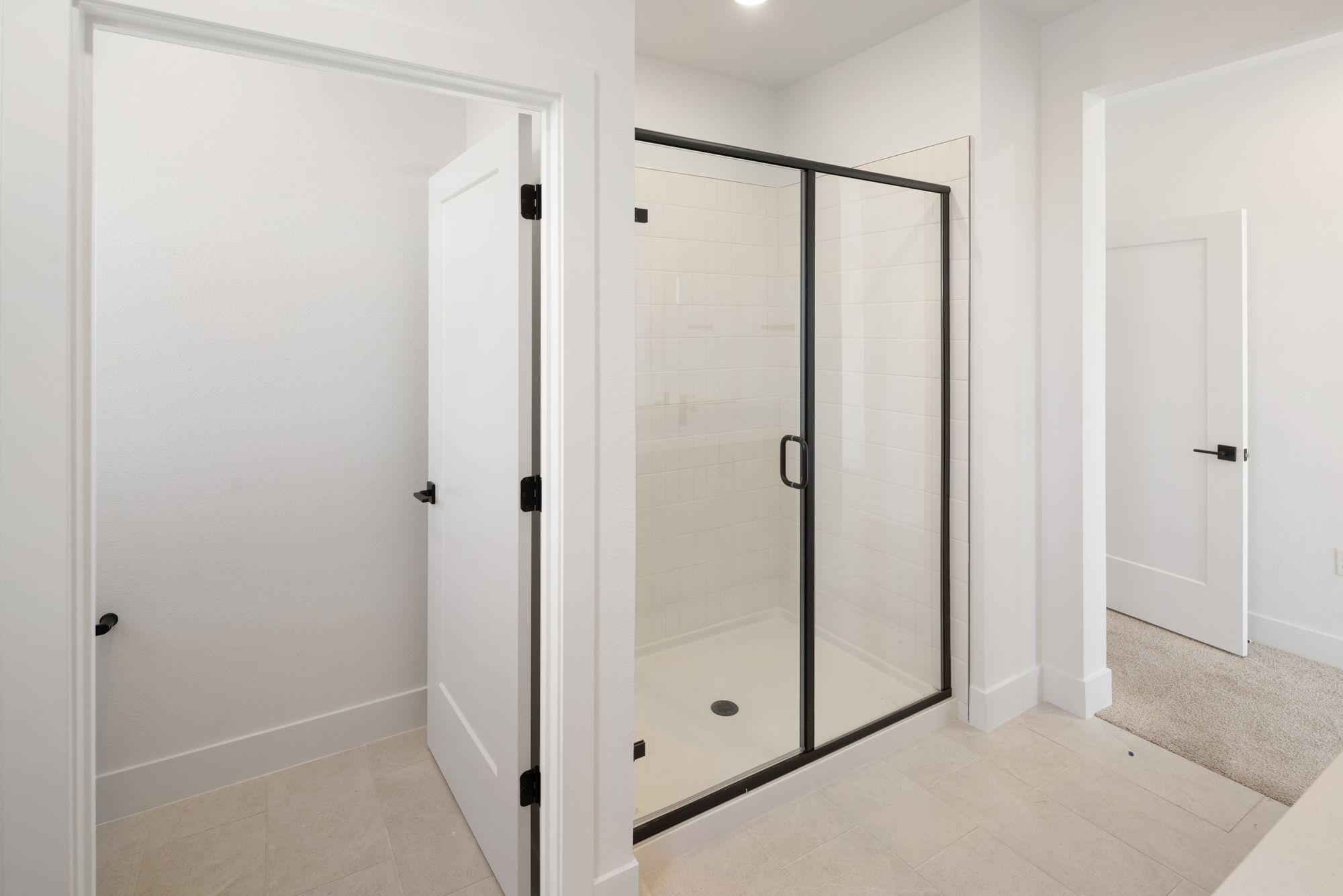 Primary Bathroom Shower