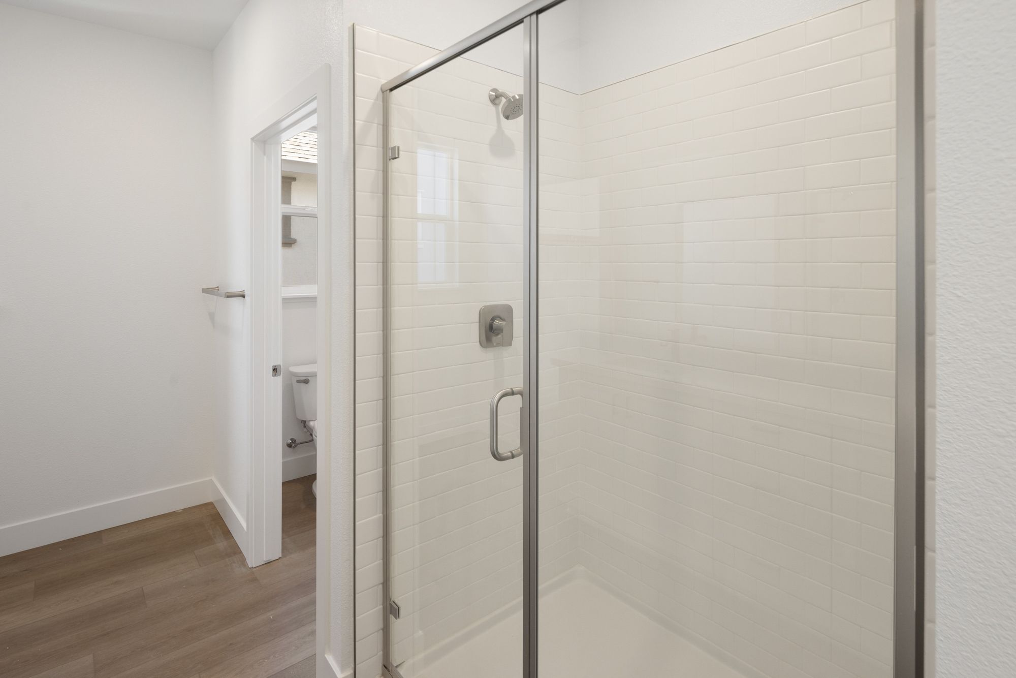 Primary Bathroom Shower