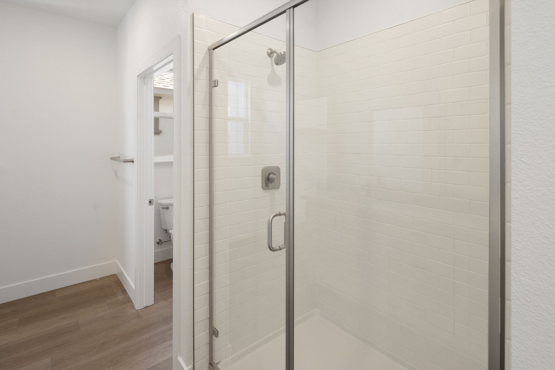 Primary Bathroom Shower