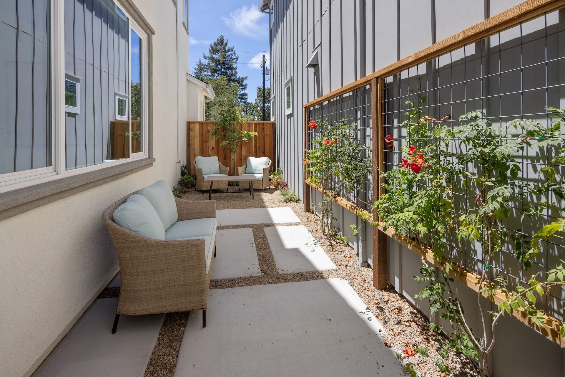 Plan 4 Backyard