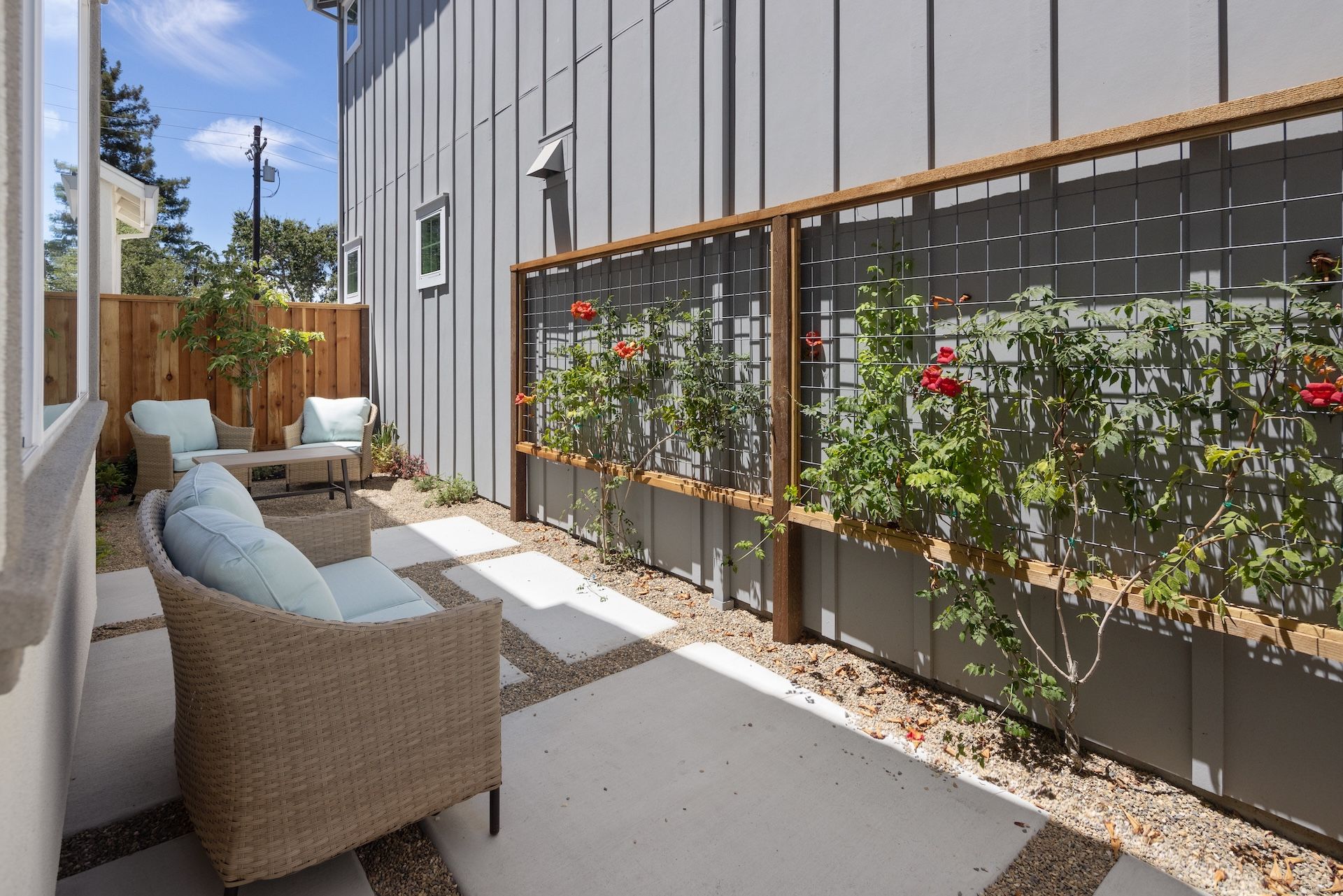 Plan 4 Backyard
