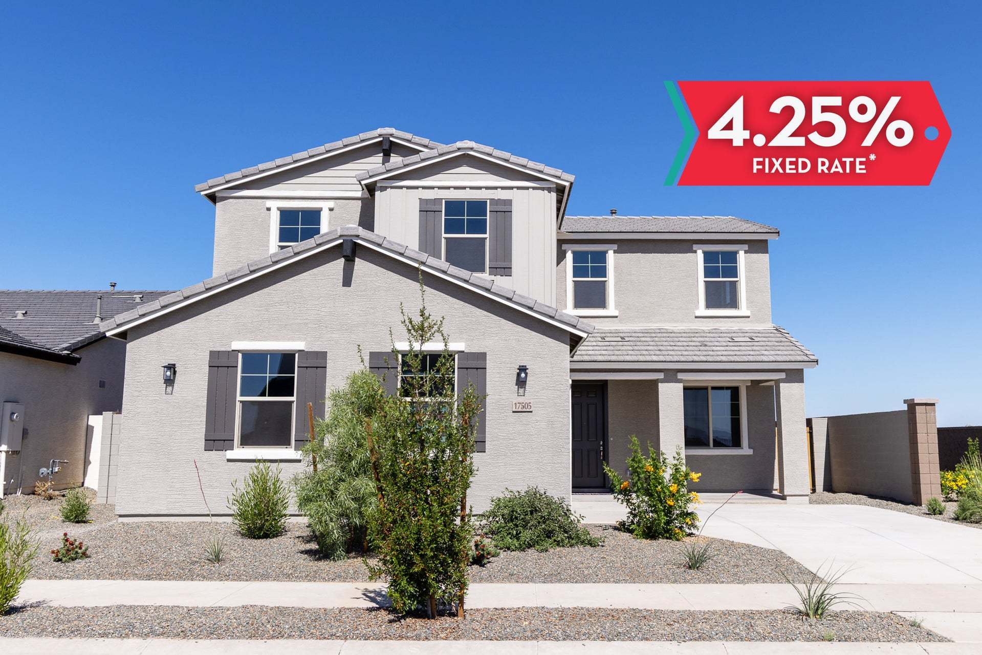 Cactus Wren - Rancho Santa Rosa: Maricopa, Arizona - CastleRock Communities