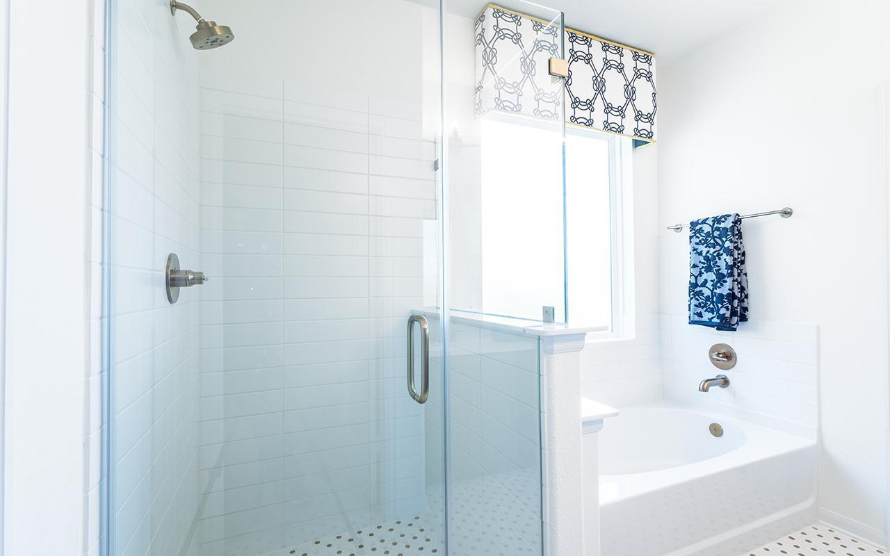 Master Tub & Shower