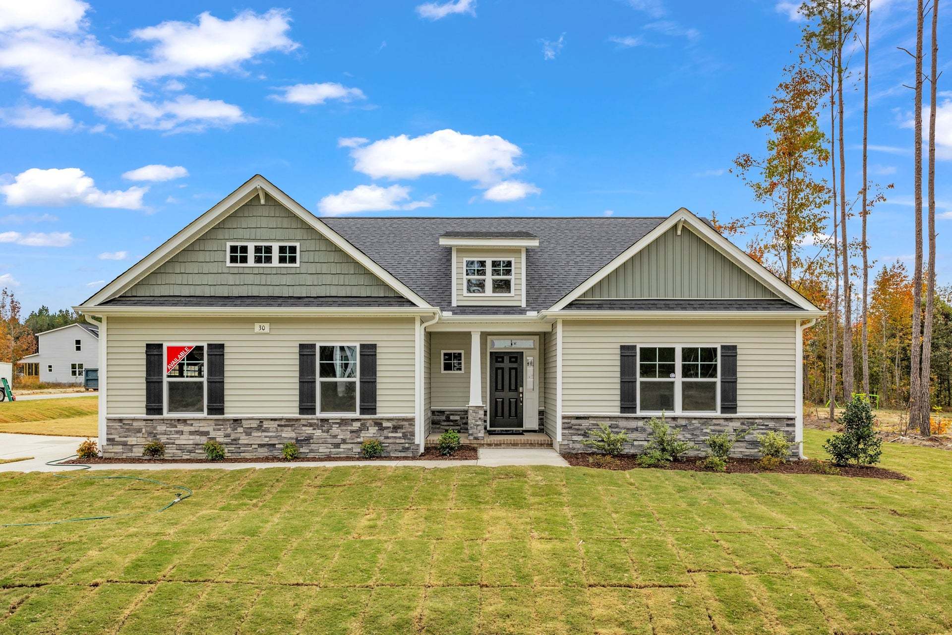 Elevation D with Sideload Garage Option