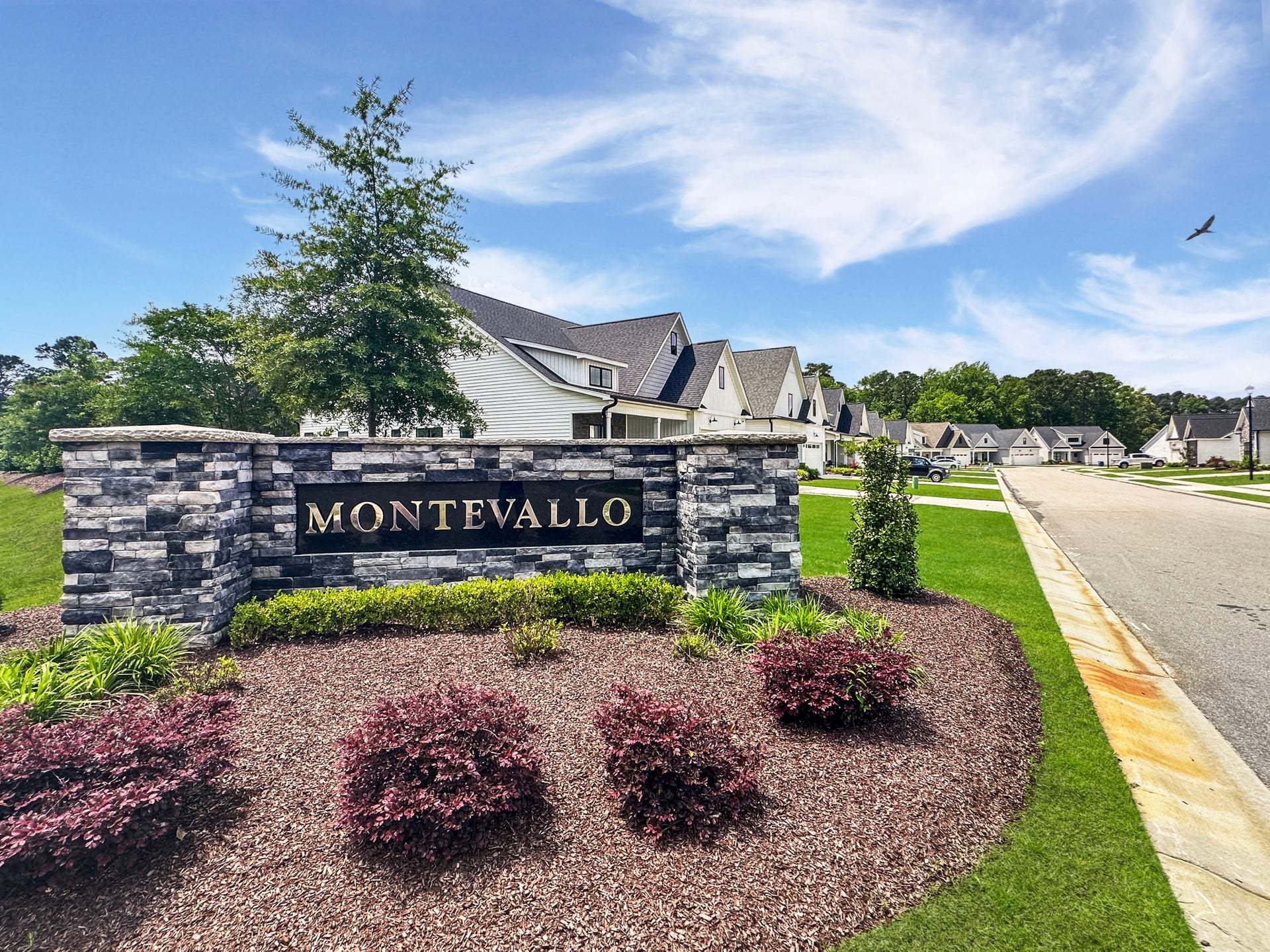 Montevallo - Ayden, NC