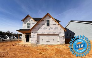 258 Rough Ridge Trail (Bailey)