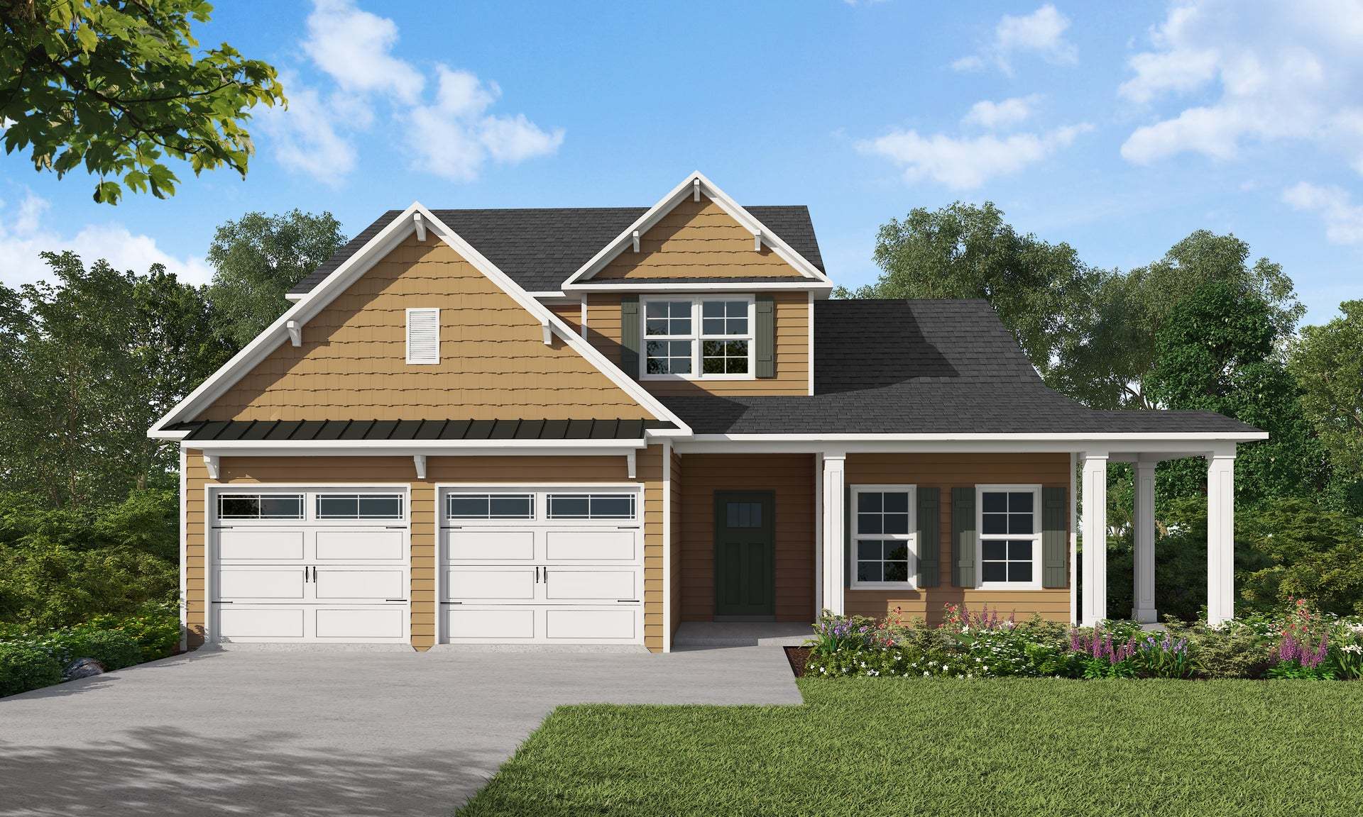 Coastal Elevation