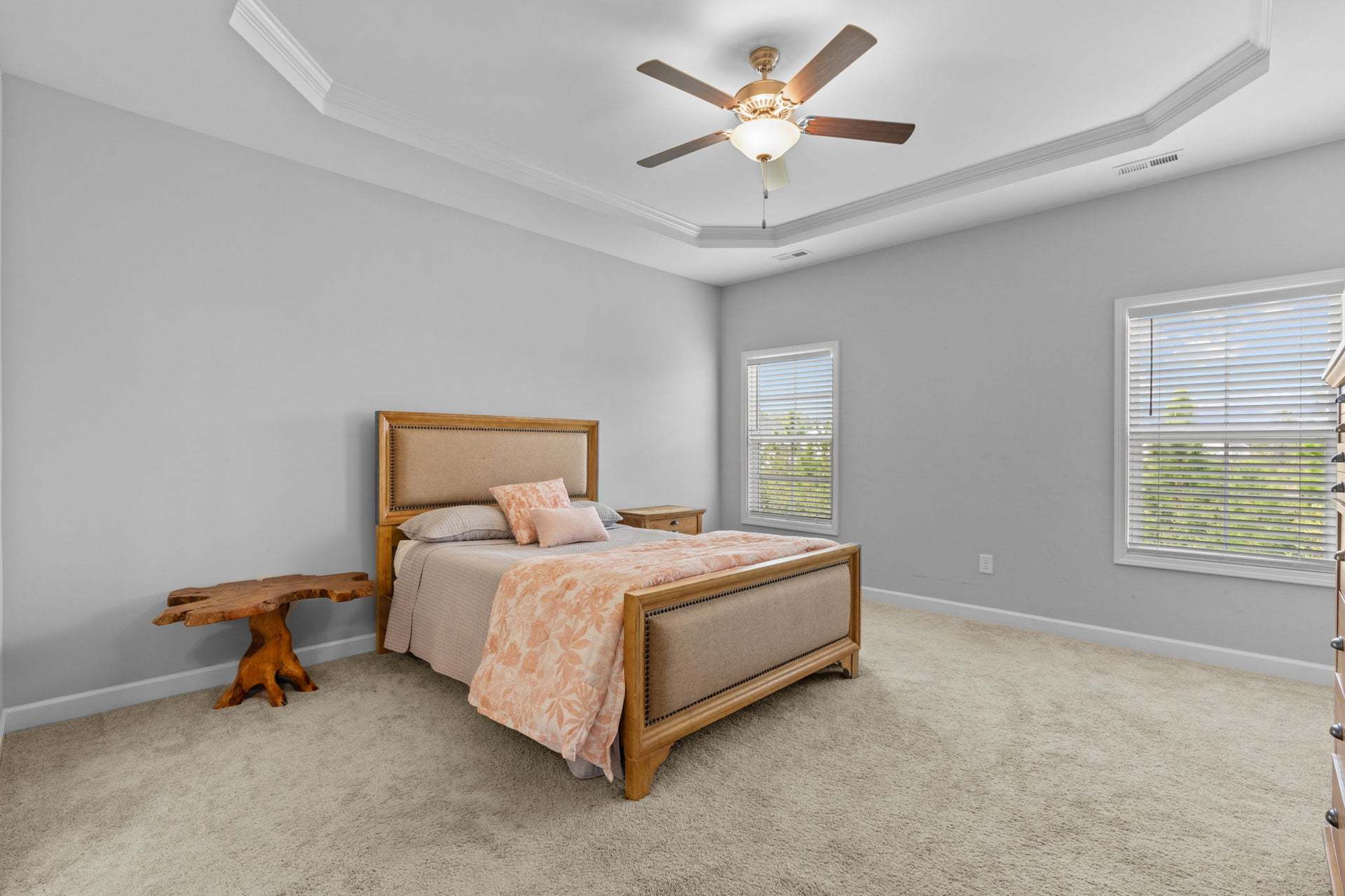 Similar Home-Tray Ceiling Option