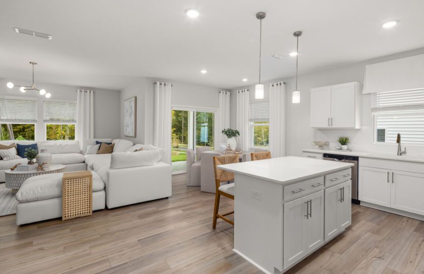 Kitchen and Living Area