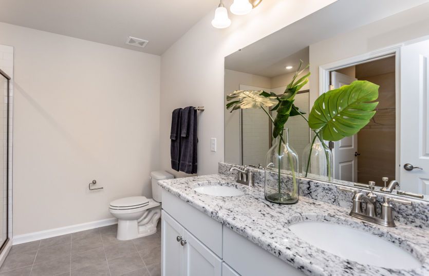 Owner's Bath