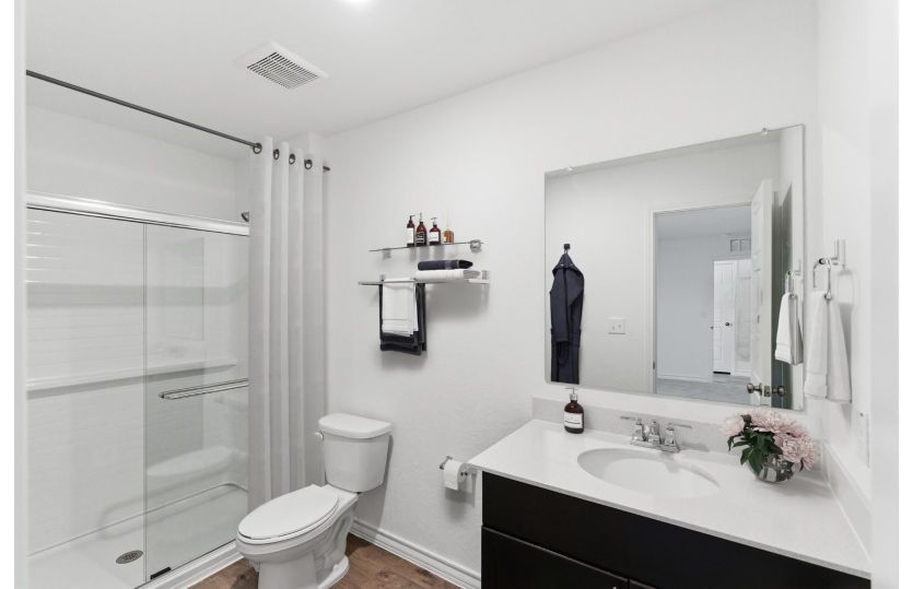 Owner's Bath