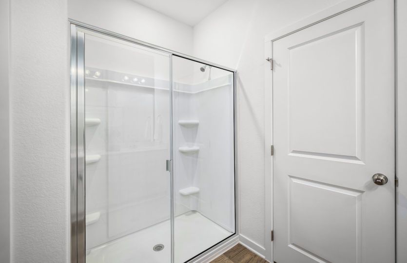 Primary Bathroom Walk-In Shower