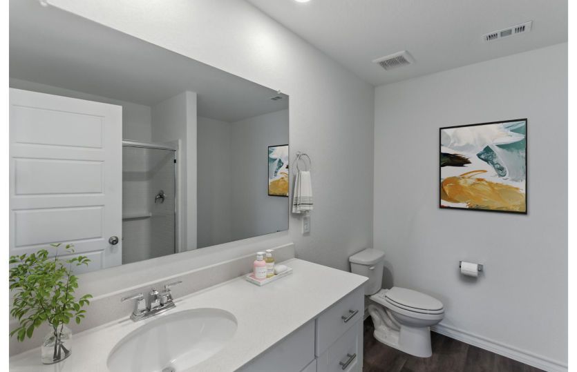 Owner's Bath