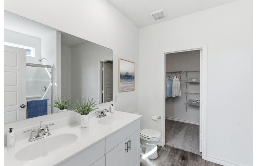 Owner's Bath