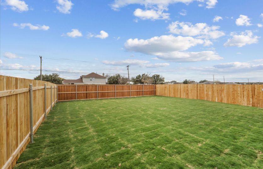Backyard