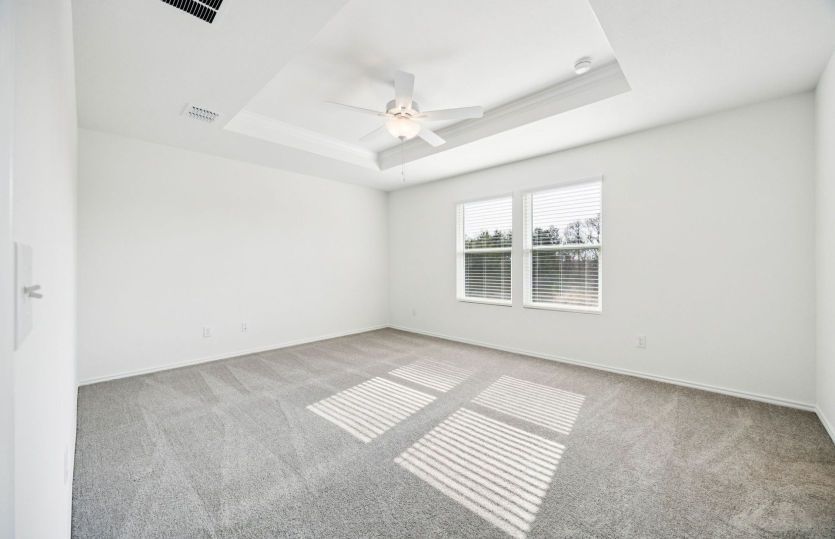 Owner's suite with tray ceiling