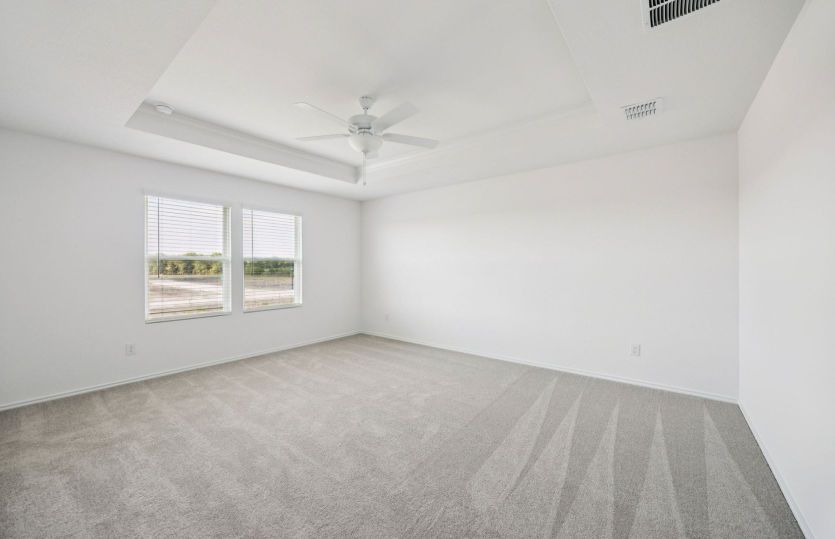 Owner's suite with tray ceiling
