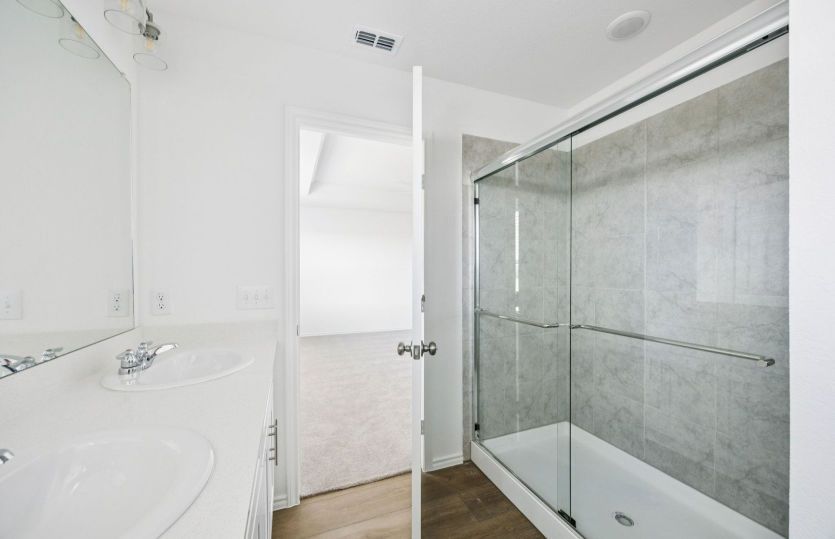 Large shower in owner's bath