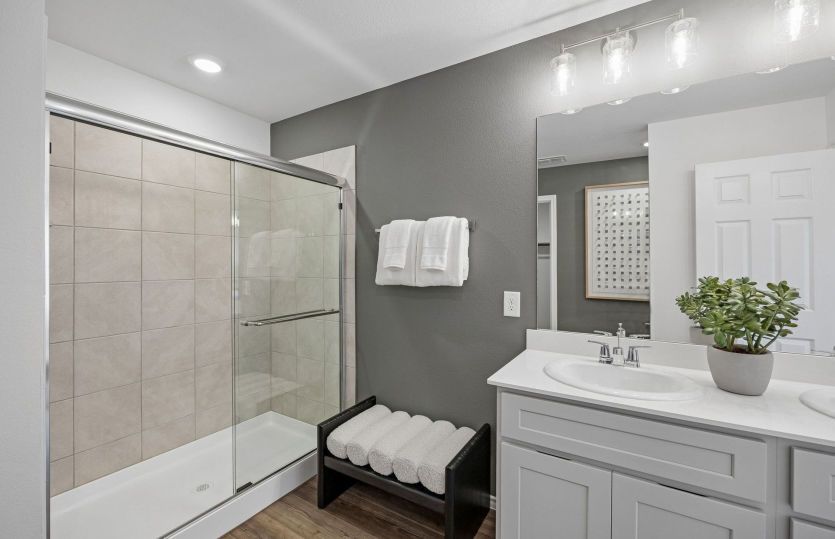 Shower in owner's bath