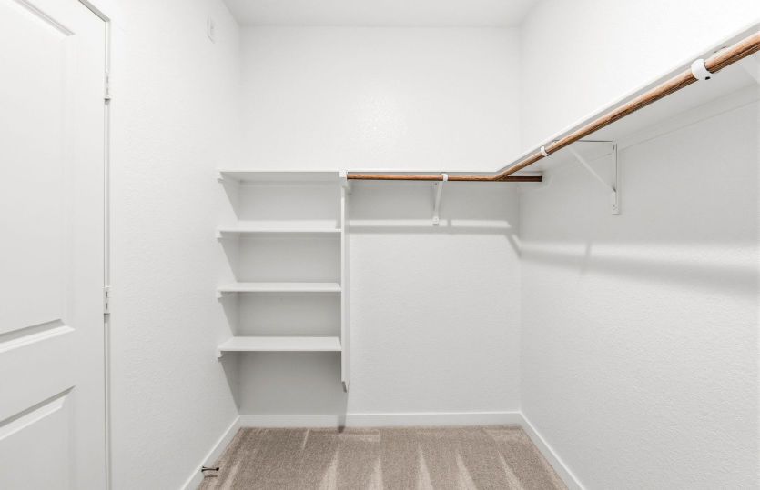 Primary Closet