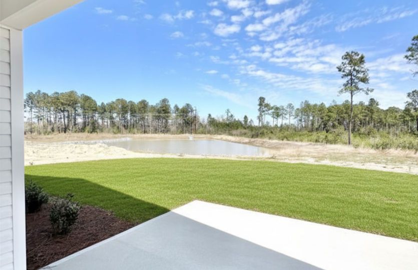 Backyard facing pond and woods.