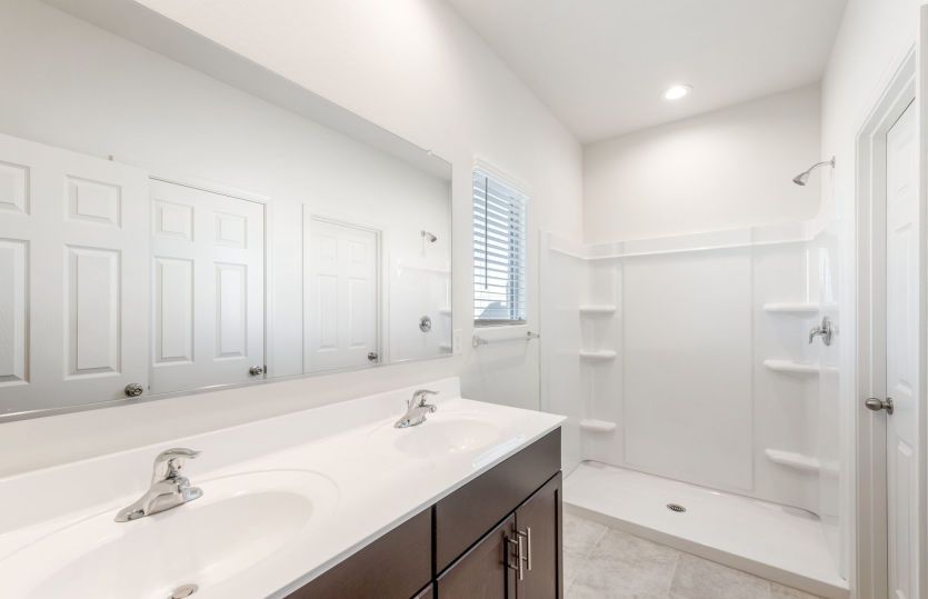 Owner's Bath