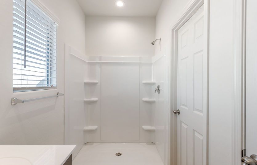 Owner's Bath