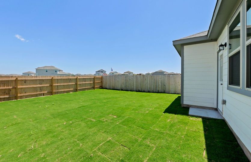 Backyard