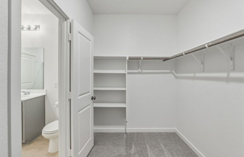 Primary Closet
