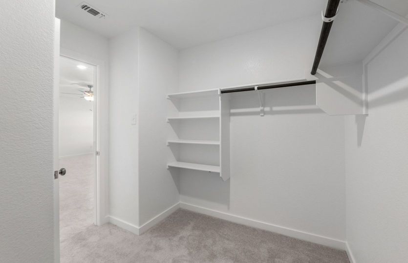 Representational Photo- Primary Closet