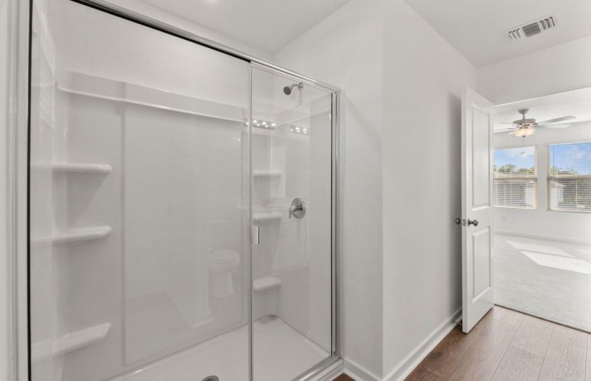 Representational Photo- Primary Bathroom
