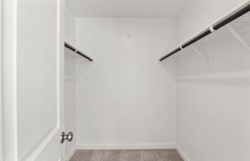 Representational Photo- Primary Closet