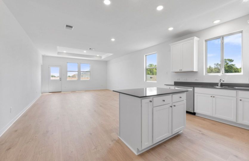 Representational Photo-Kitchen Open to the Gathering Space