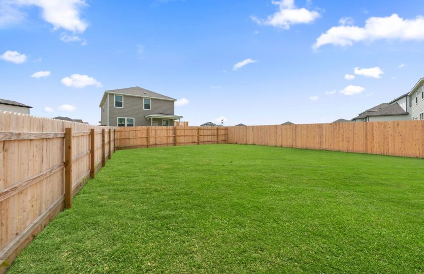 Backyard
