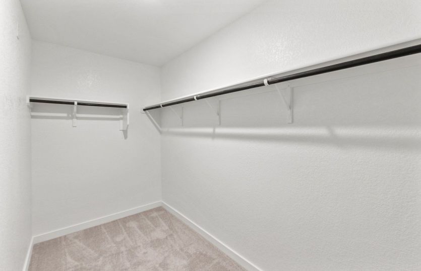 Representative Primary Closet