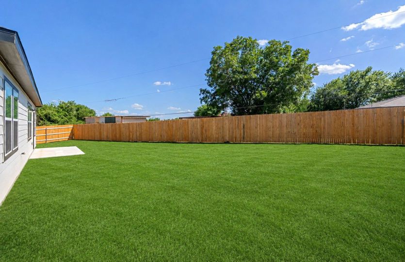 Backyard